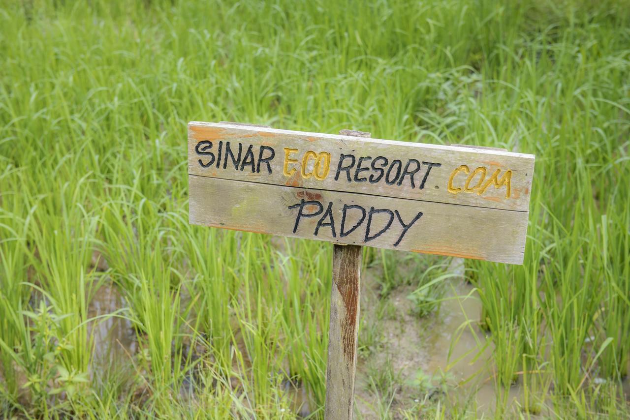 Sinar Eco Resort Kampong Bukit Panjang Esterno foto